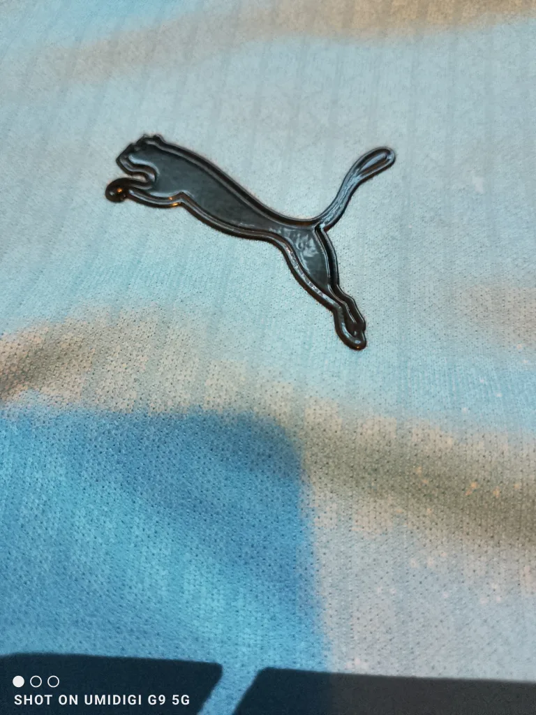 Puma Manchester City Haaland #9 Jersey image indicator(5)