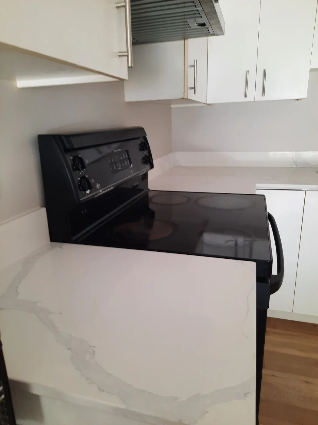 White Rock/ South Surrey 2 bedroom for rent image indicator(5)