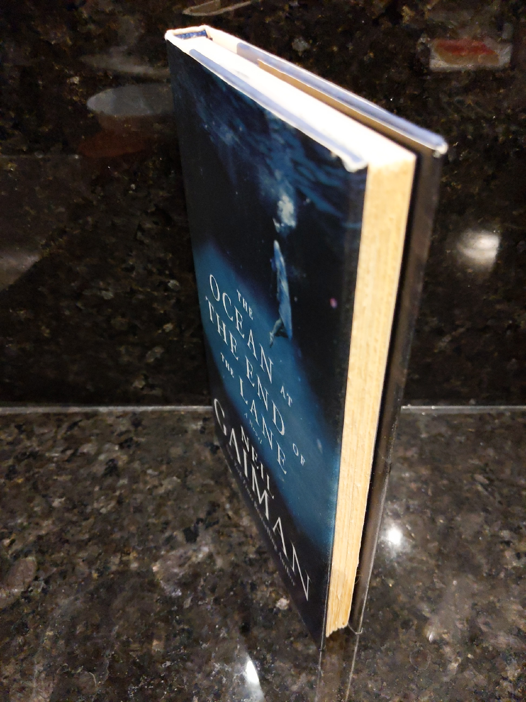 The Ocean at the End of the Lane by Neil Gaiman - photo 3