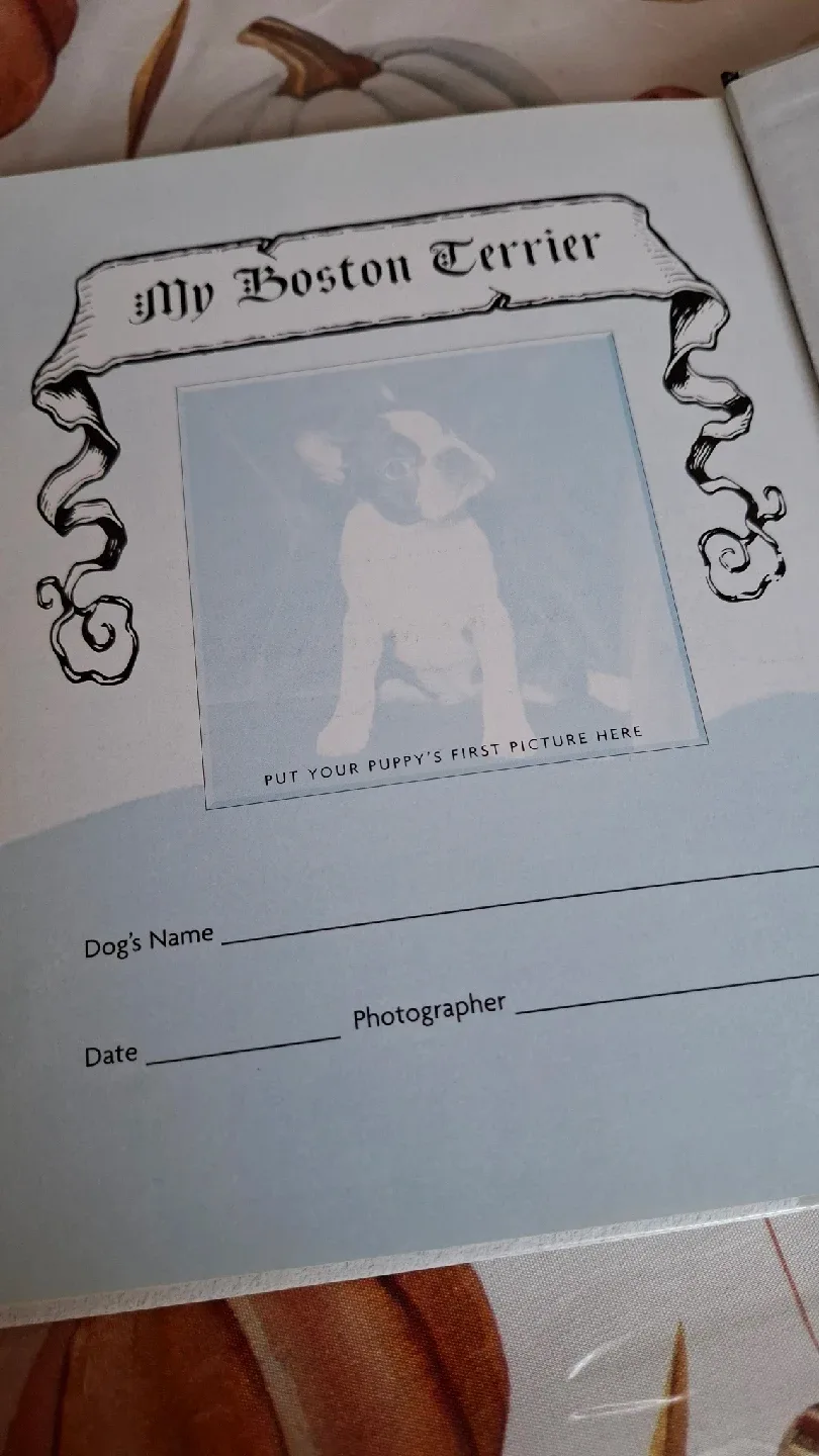 Boston Terrier: A Comprehensive Guide to Owning and Caring image indicator(4)