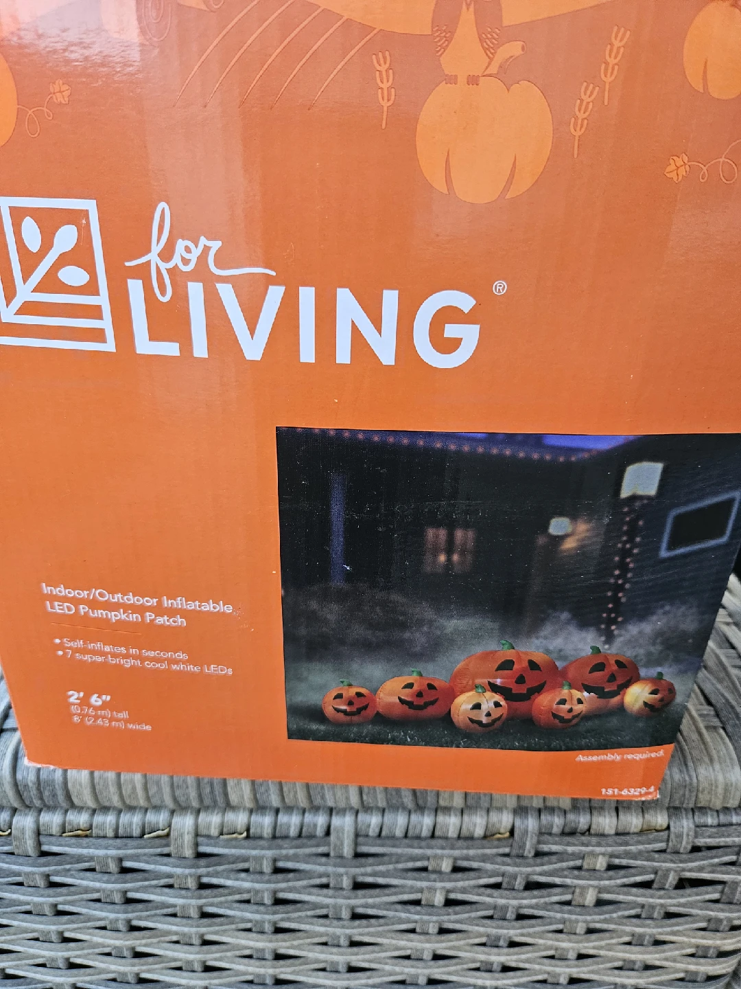 For Living Inflatable LED Pumpkin Patch - Indoor/Outdoor - photo 2
