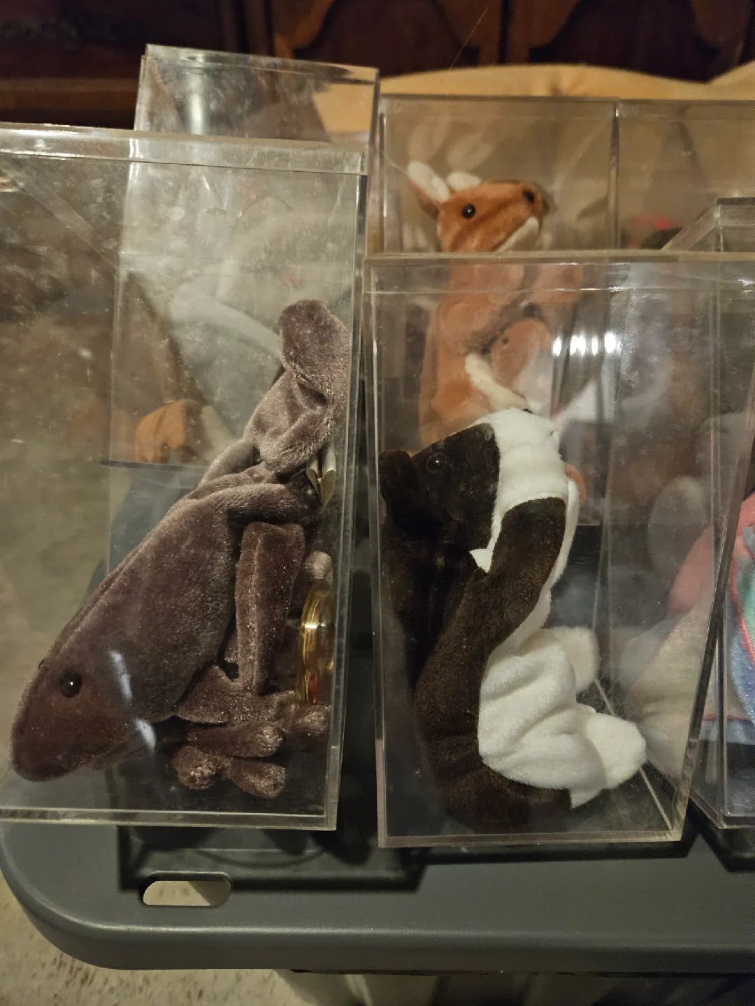 Ty Beanie Babies Collection image indicator(3)