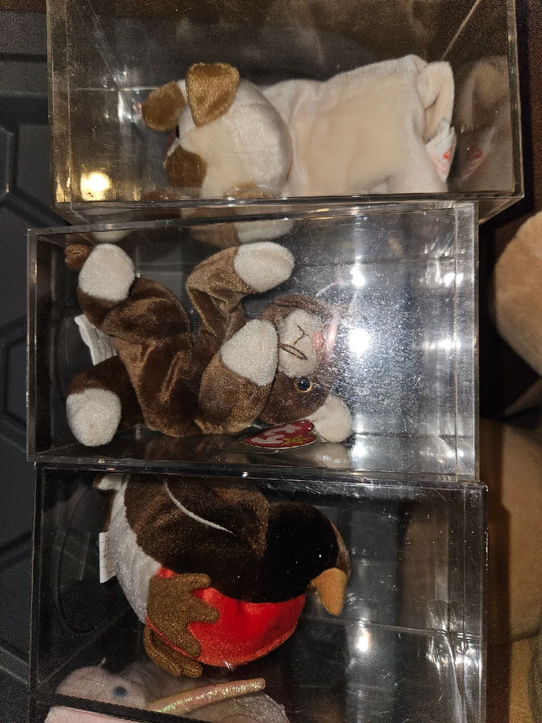 Ty Beanie Babies Collection image indicator(9)