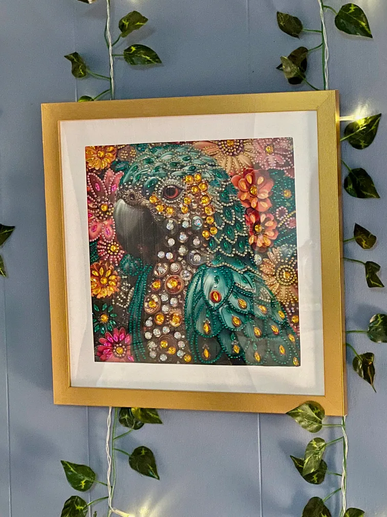 Diamond Art Painting image indicator(2)