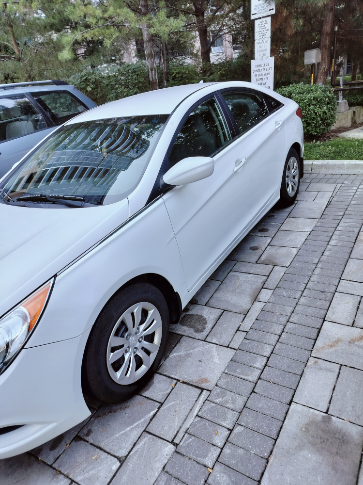 Car - 2013 Hyundai Sonata White