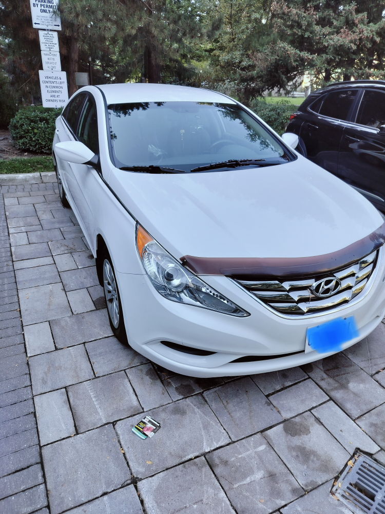 Car - 2013 Hyundai Sonata White - photo 3