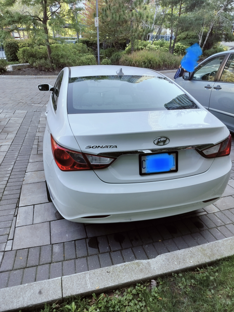 Car - 2013 Hyundai Sonata White - photo 4