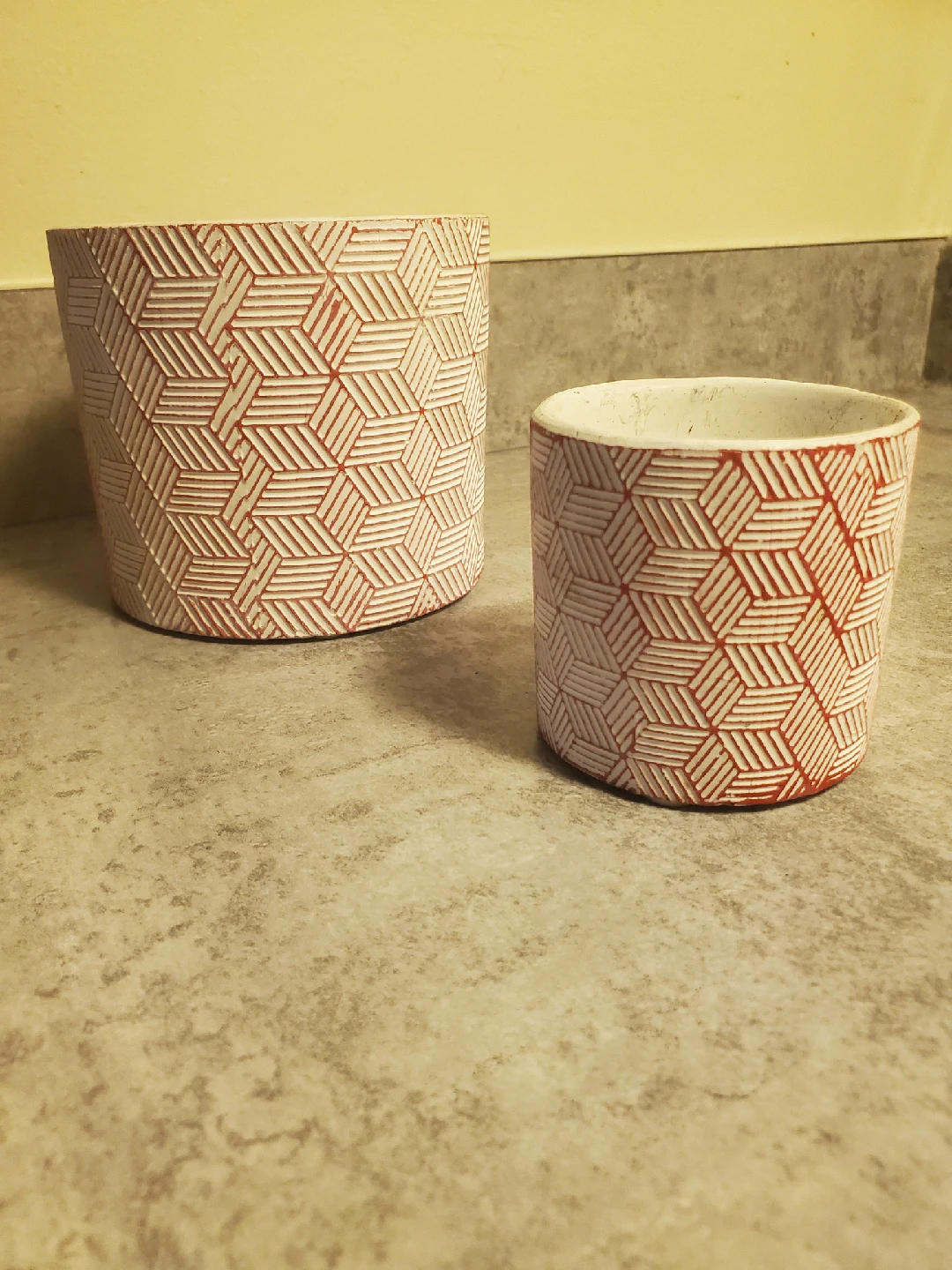 Two Decorative Flower Pots