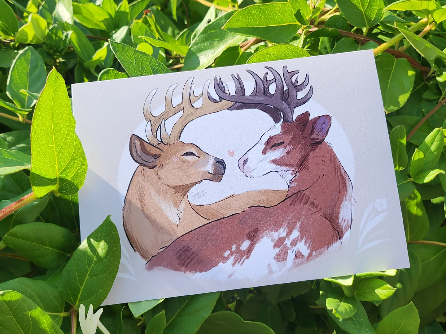 Deer art print image indicator(3)