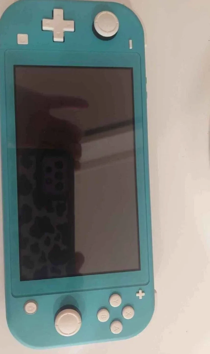 Nintendo Switch Lite image indicator(2)