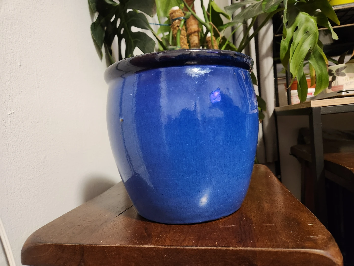 Blue Frost Resistant Pot - photo 5