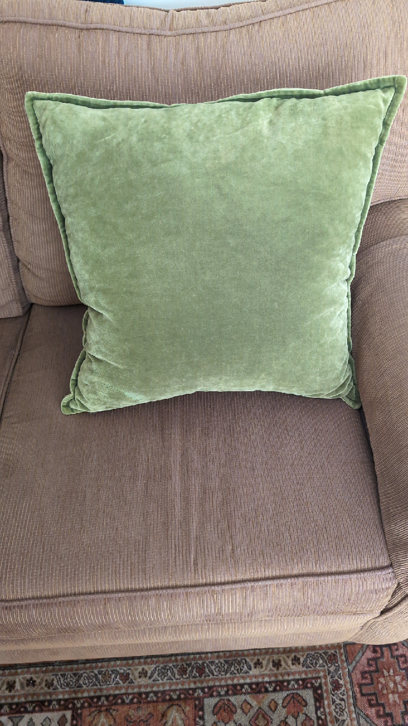Green Velvet Decorative Pillows (Set of 2)