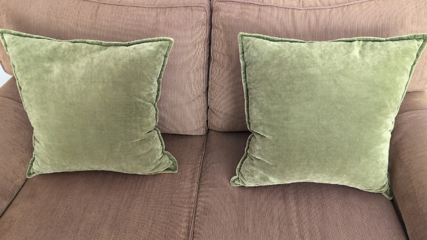 Green Velvet Decorative Pillows (Set of 2) image indicator(2)