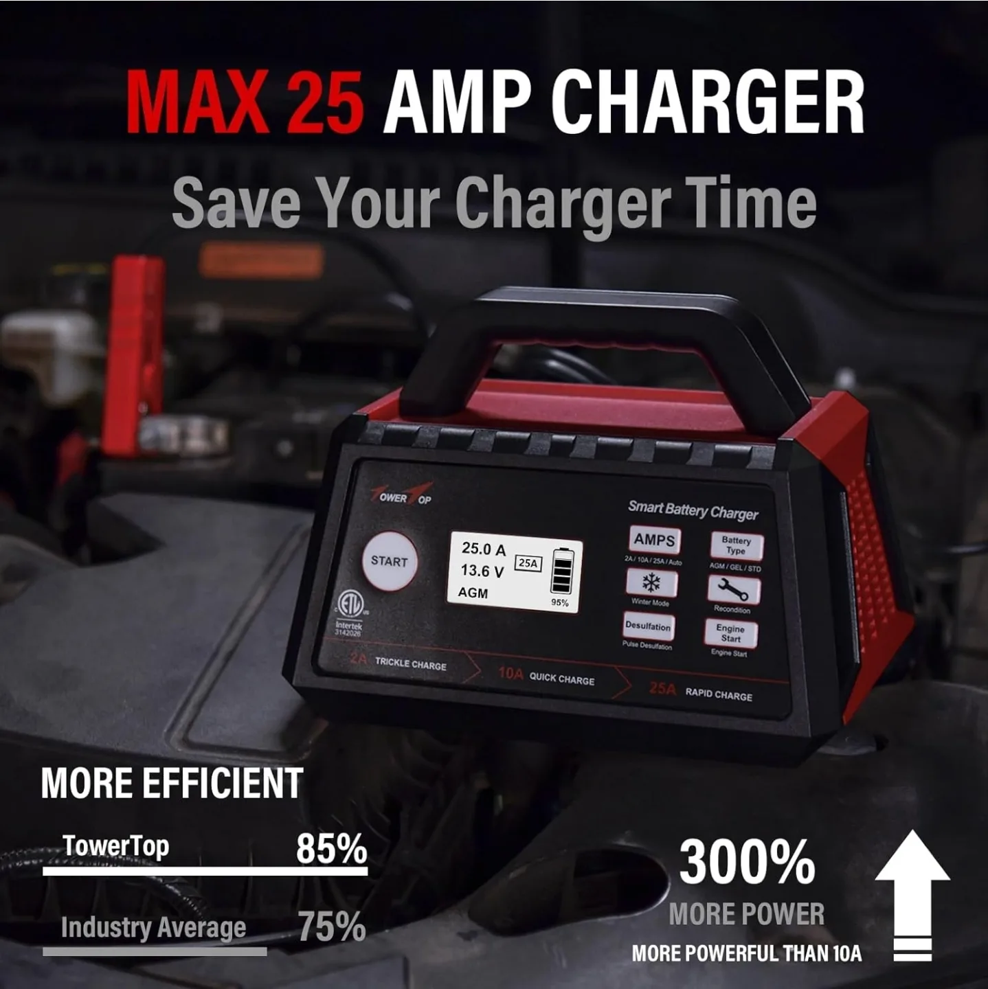 TowerTop Max 25 Amp Smart Battery Charger image indicator(3)