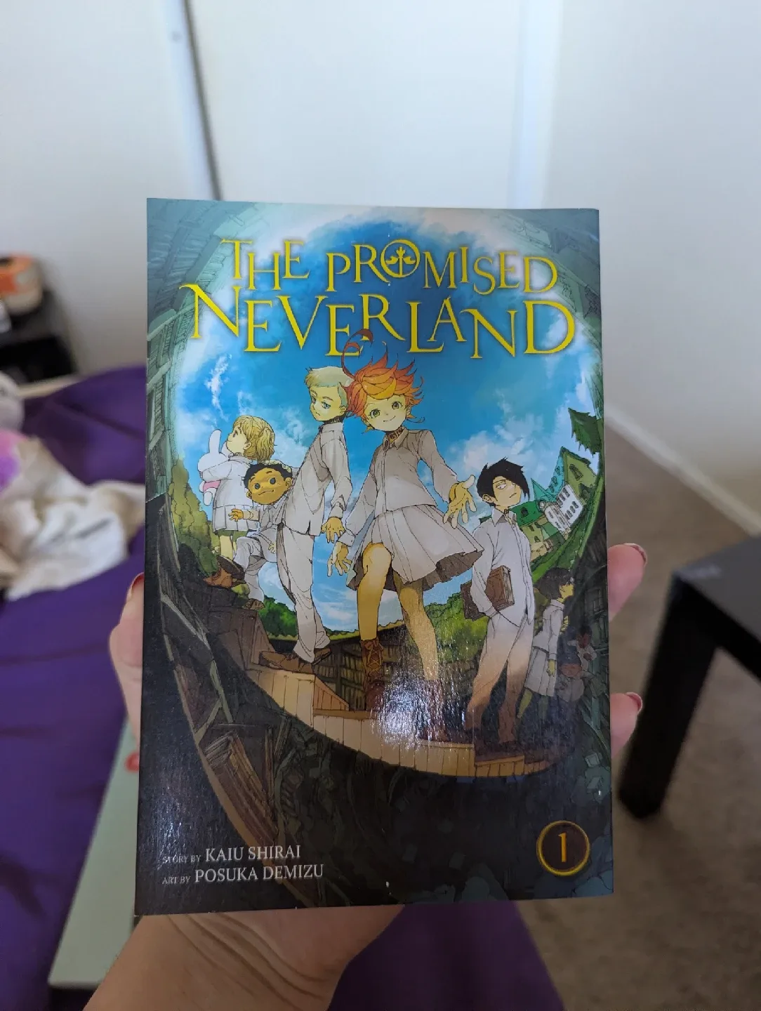 Spy x Family, My Hero Academia, Promised Neverland Manga image indicator(3)