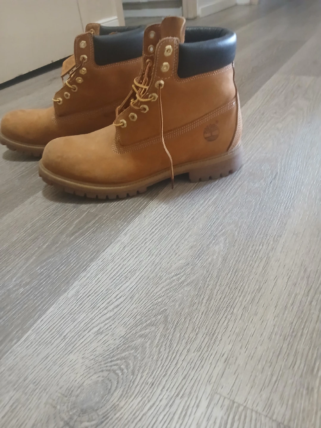 Timberland Classic Boots