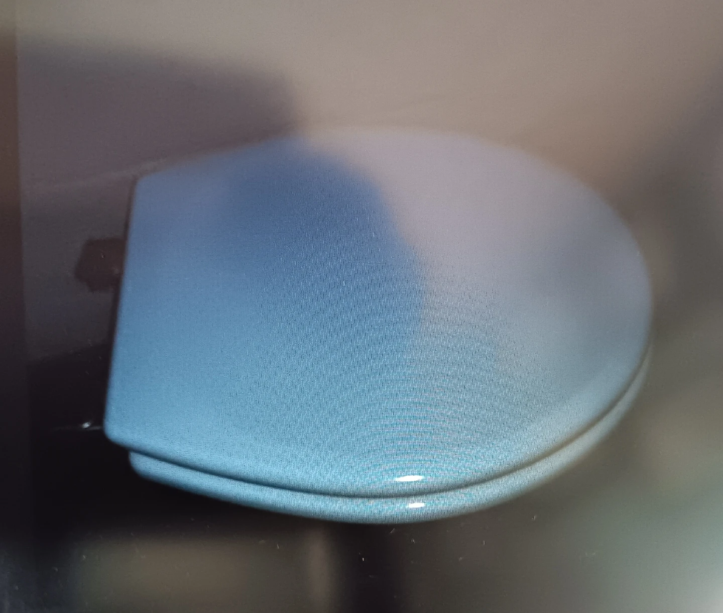 Toilet  seat