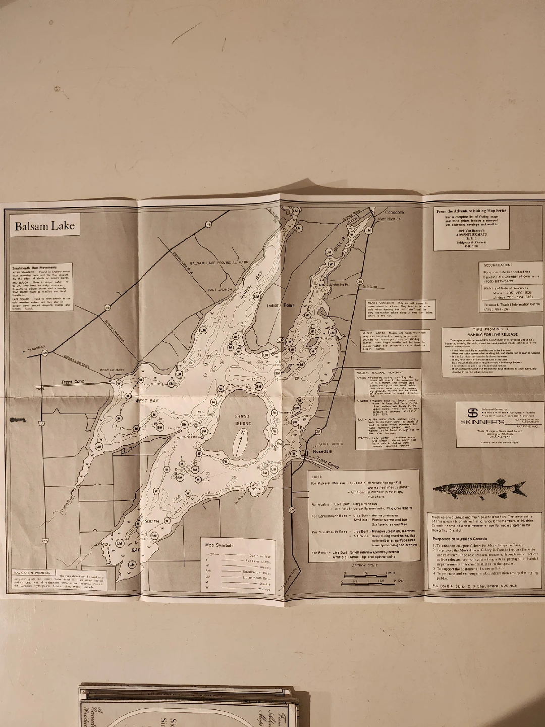 Fishing maps, books, road & regional maps