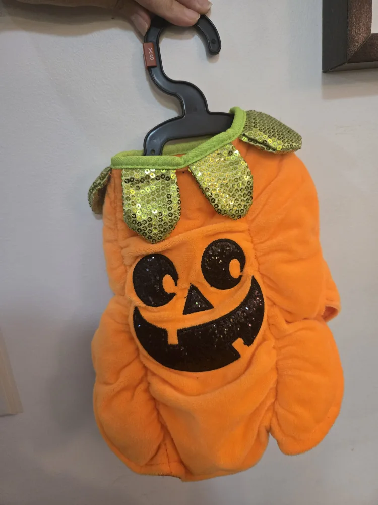 Bailey&Bella Bee and Pumpkin costumes for pets image indicator(2)