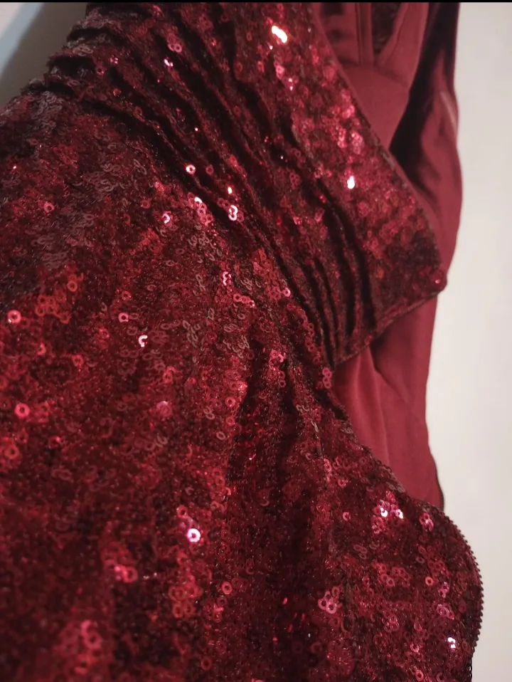 Red Sequin Mini Dress image indicator(3)