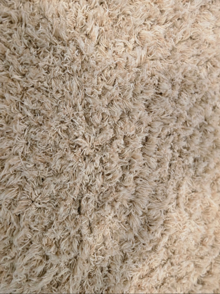 Beige Shag Rug