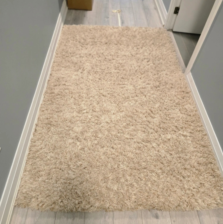 Beige Shag Rug - photo 2