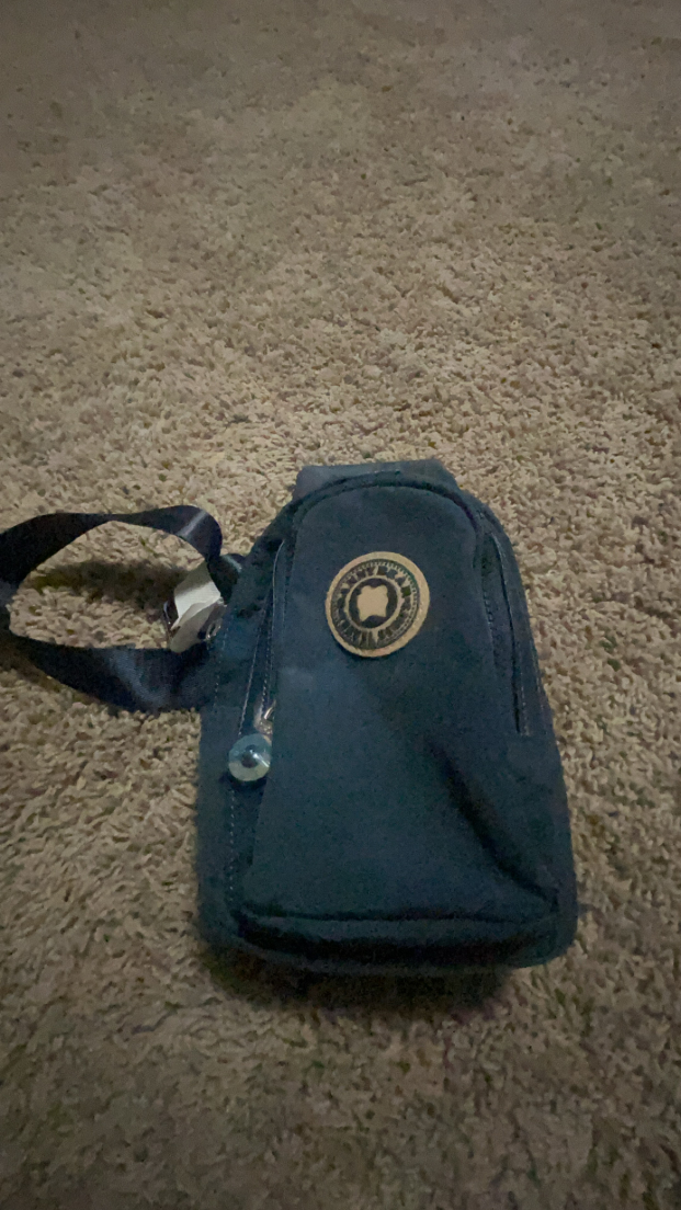 danny bear travel series sling bag - photo 2