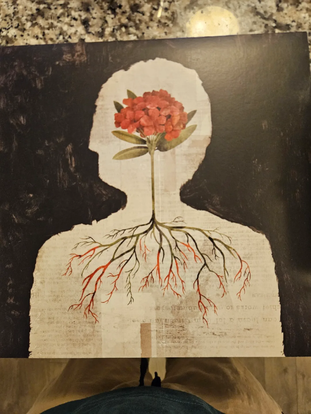 August Burns Red Phantom Anthem Vinyl - Signed image indicator(3)