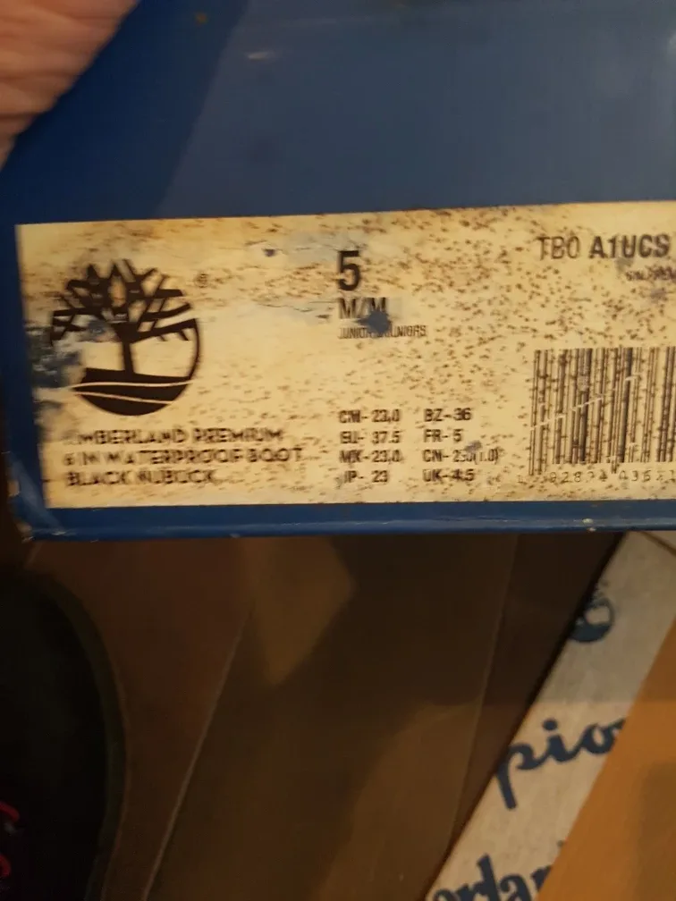 Champion x Timberland Boots - Size 5 image indicator(4)