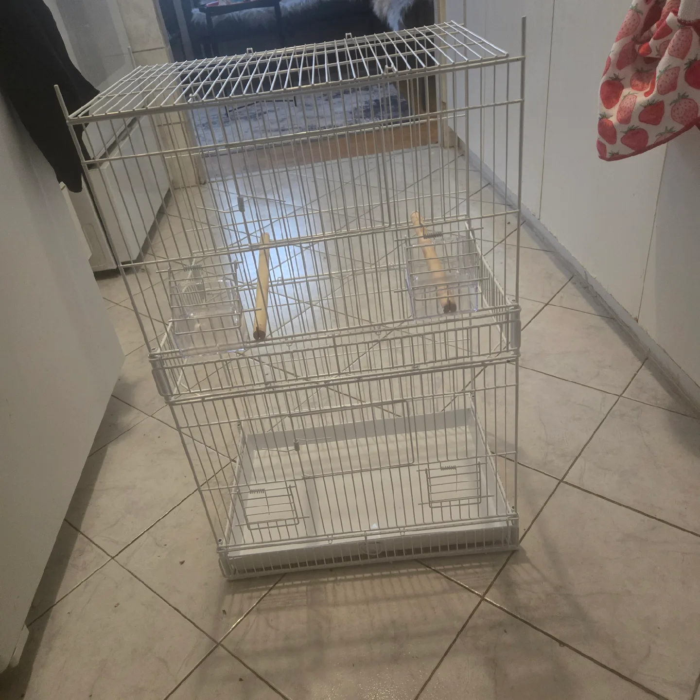 play  Bird Cage thumbnail