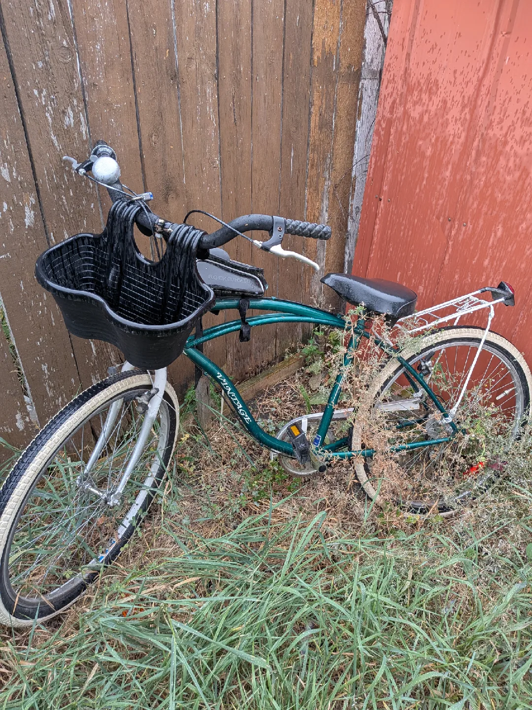 Vintage Cruiser Bike - Green image indicator(2)