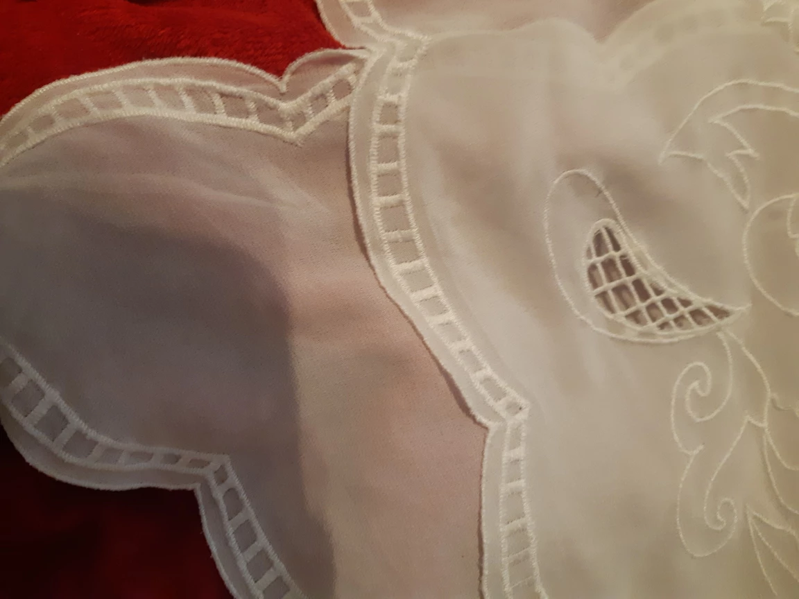 White Embroidered Lingerie Top - photo 3