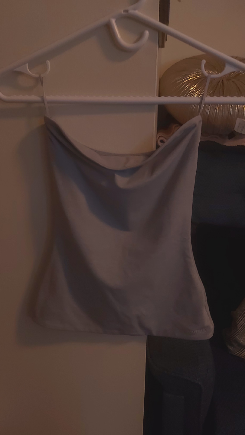Aritzia tube top