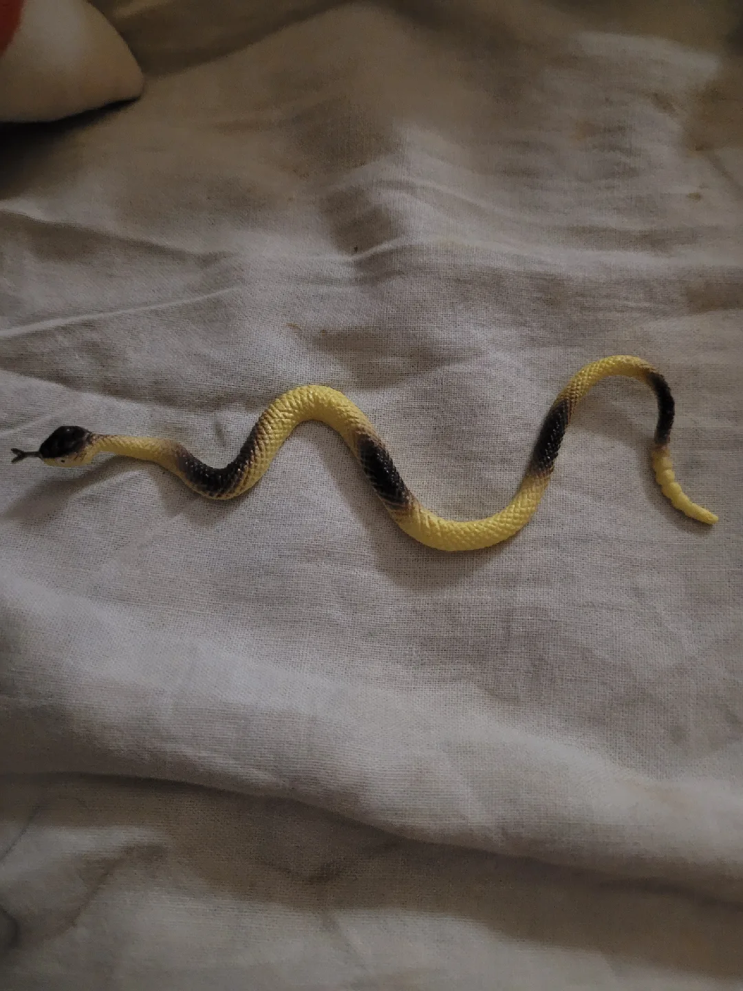 toy snake image indicator(3)