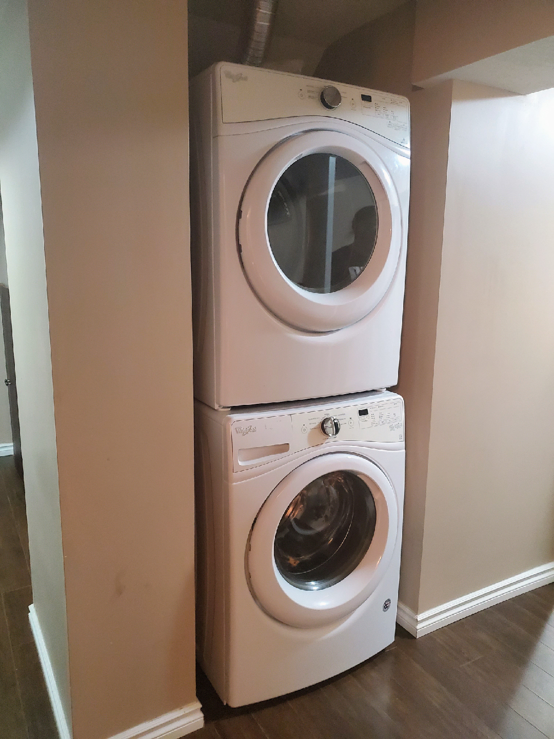 1 Bedroom Basement – Saddleridge NE (Available November 1st) - photo 3