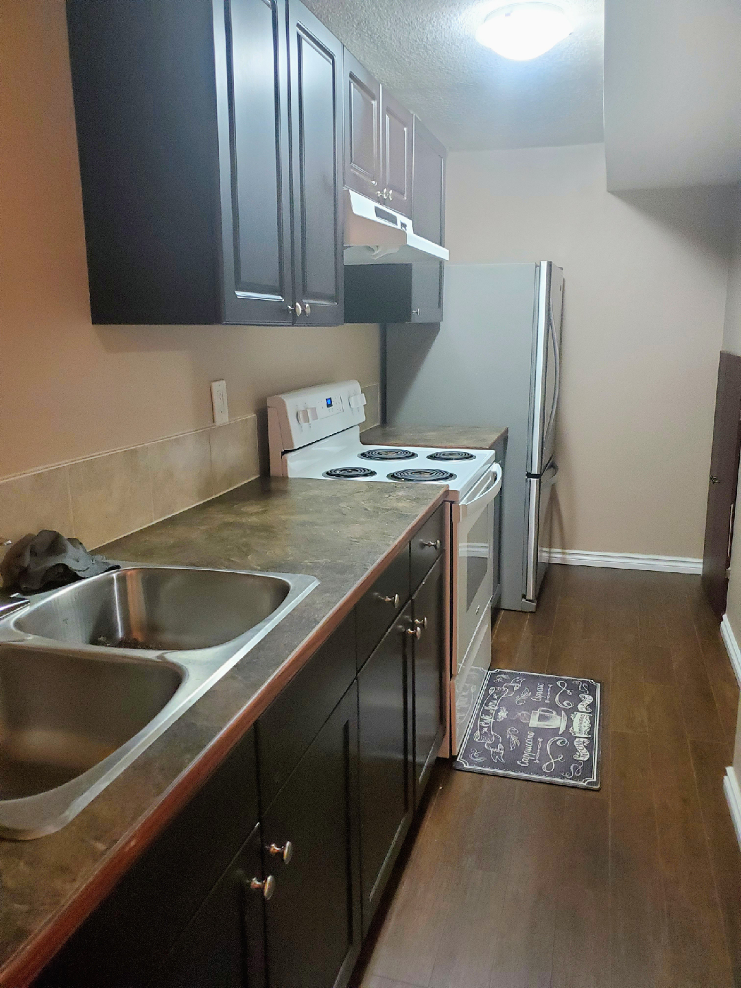 1 Bedroom Basement – Saddleridge NE (Available November 1st) - photo 4