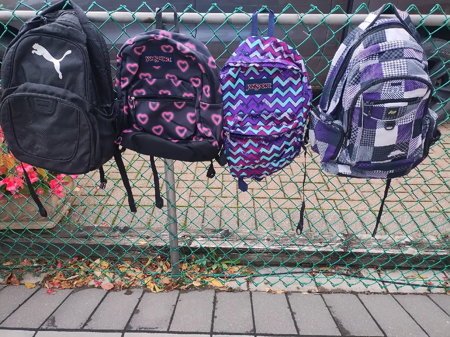 Bags image indicator(7)