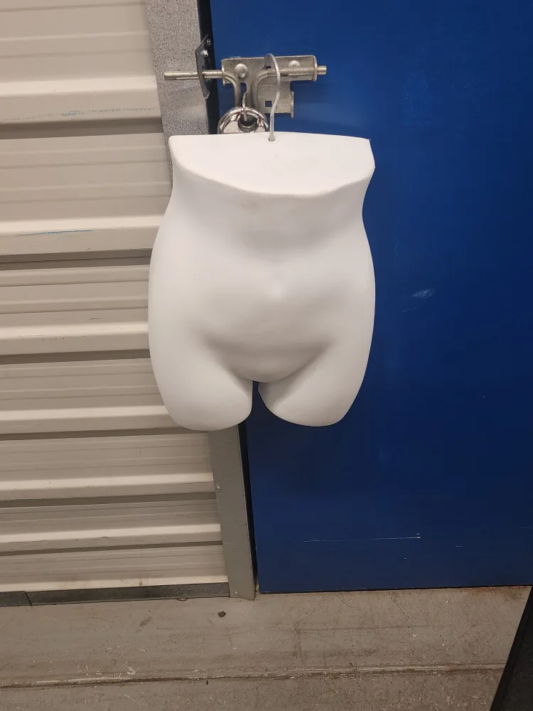 Mannequin Torso Form thumbnail