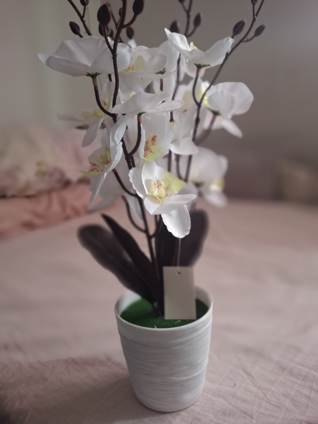 Artificial White Orchid in Pot 🥕 - photo 2