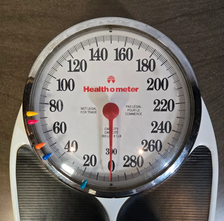 Healthometer Scale image indicator(2)