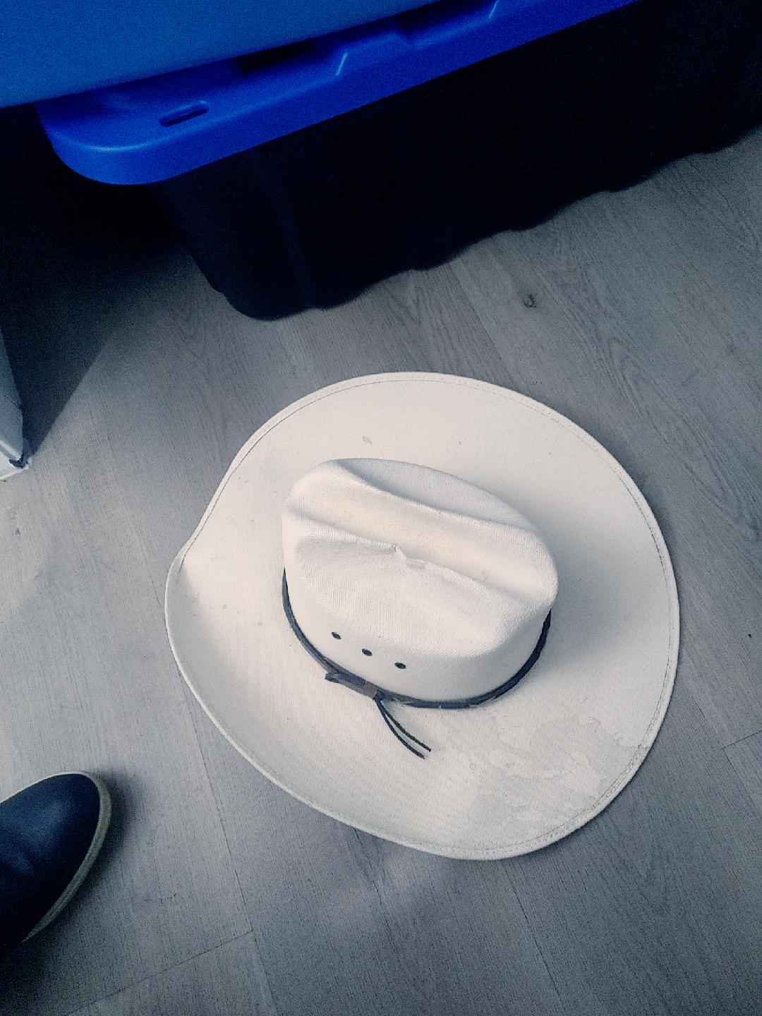 Halloween/Costume Cowboy Hat