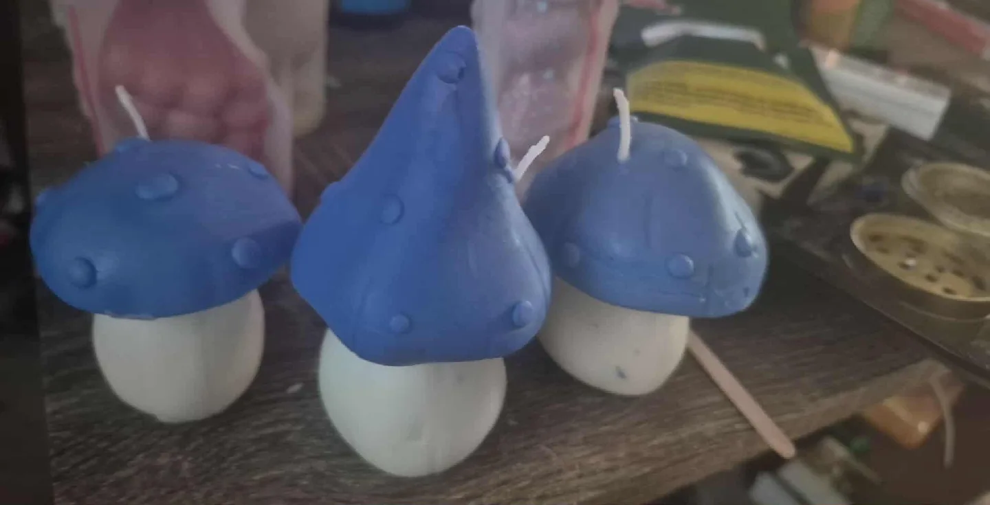 Handmade Mushroom Candles - Set of 5 thumbnail