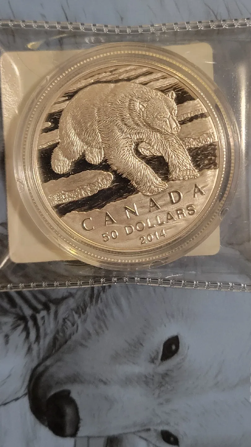 2014 Canada $50 Fine Silver Coin - Polar Bear image indicator(5)