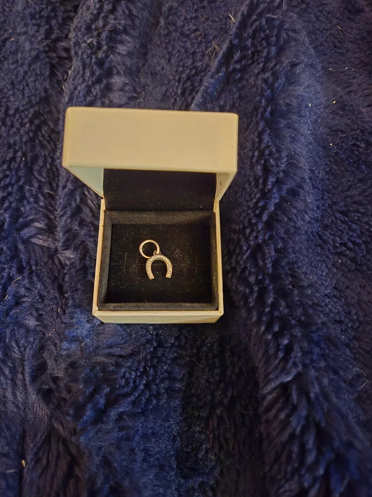 NEW Pandora Horseshoe Charm thumbnail