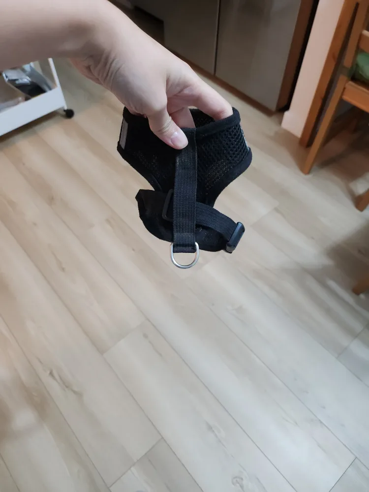 Black Dog Harness image indicator(2)