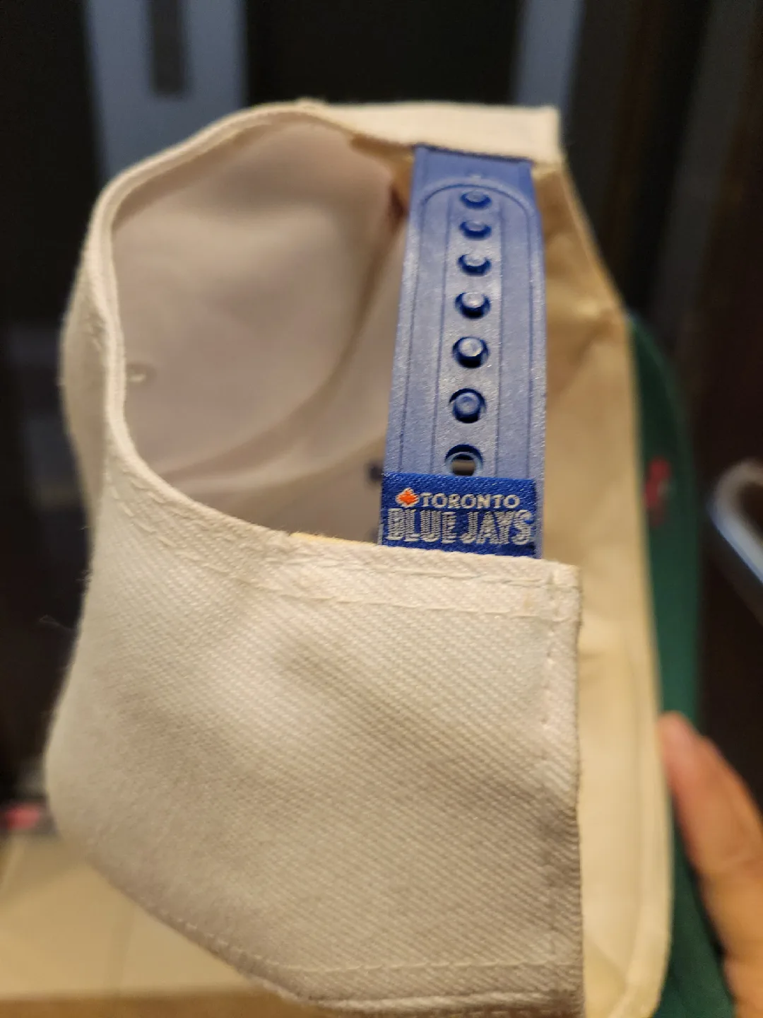 Official new Toronto Blue Jays Baseball Hat 🥕 image indicator(4)