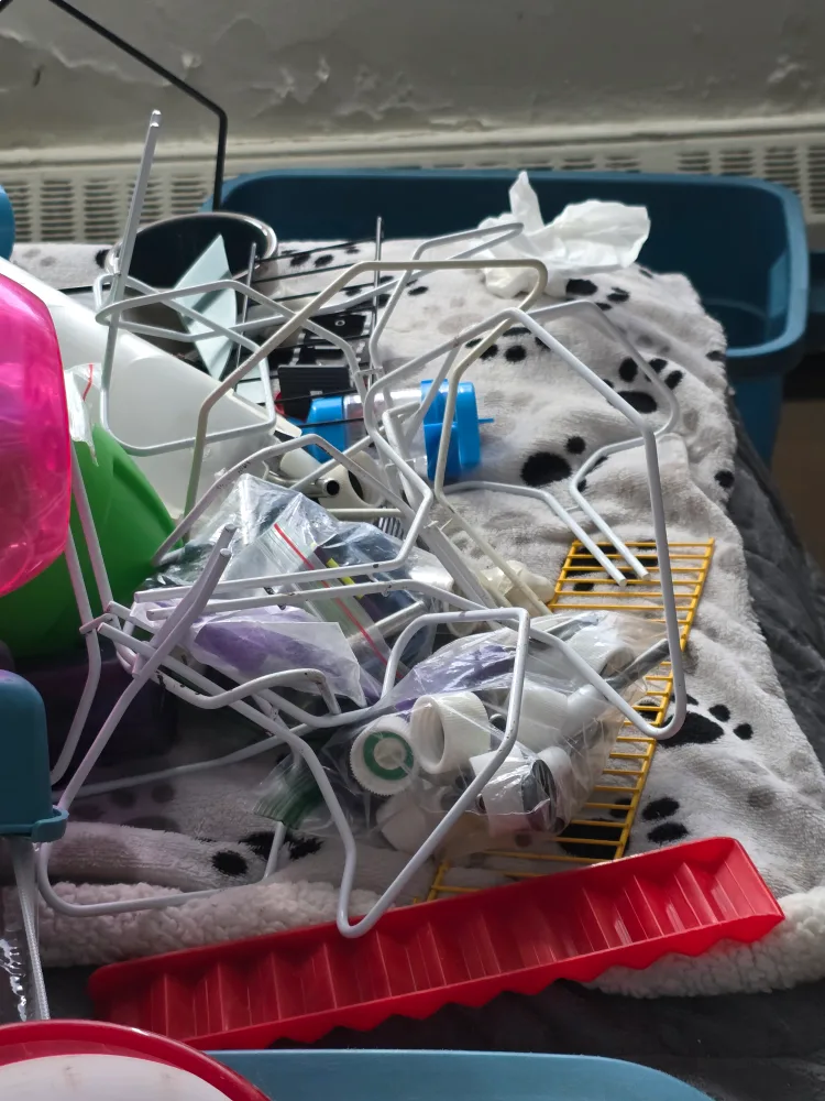 Four Hamster Wheels - Green, Blue, Purple and Red image indicator(2)