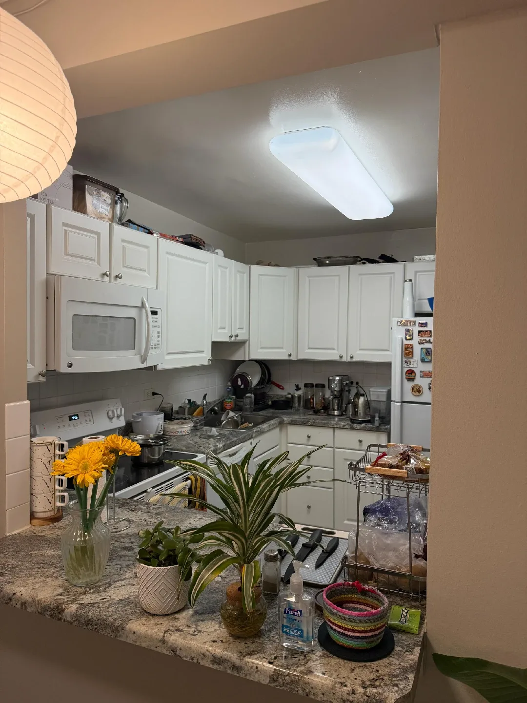 Sub-Lease 1B1B | Streeterville image indicator(8)