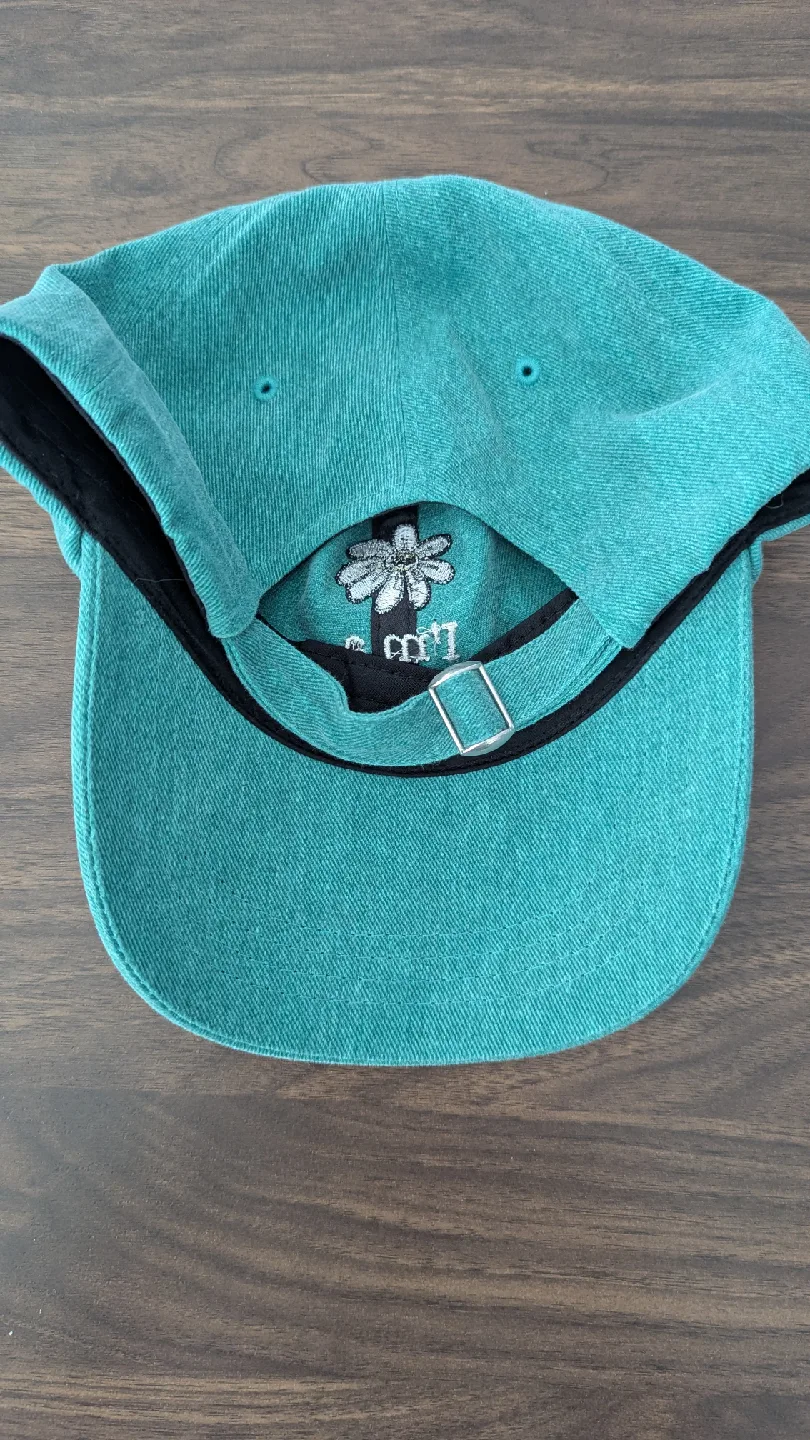 Turquoise "I'm a Mess" Baseball Cap🥕 image indicator(3)