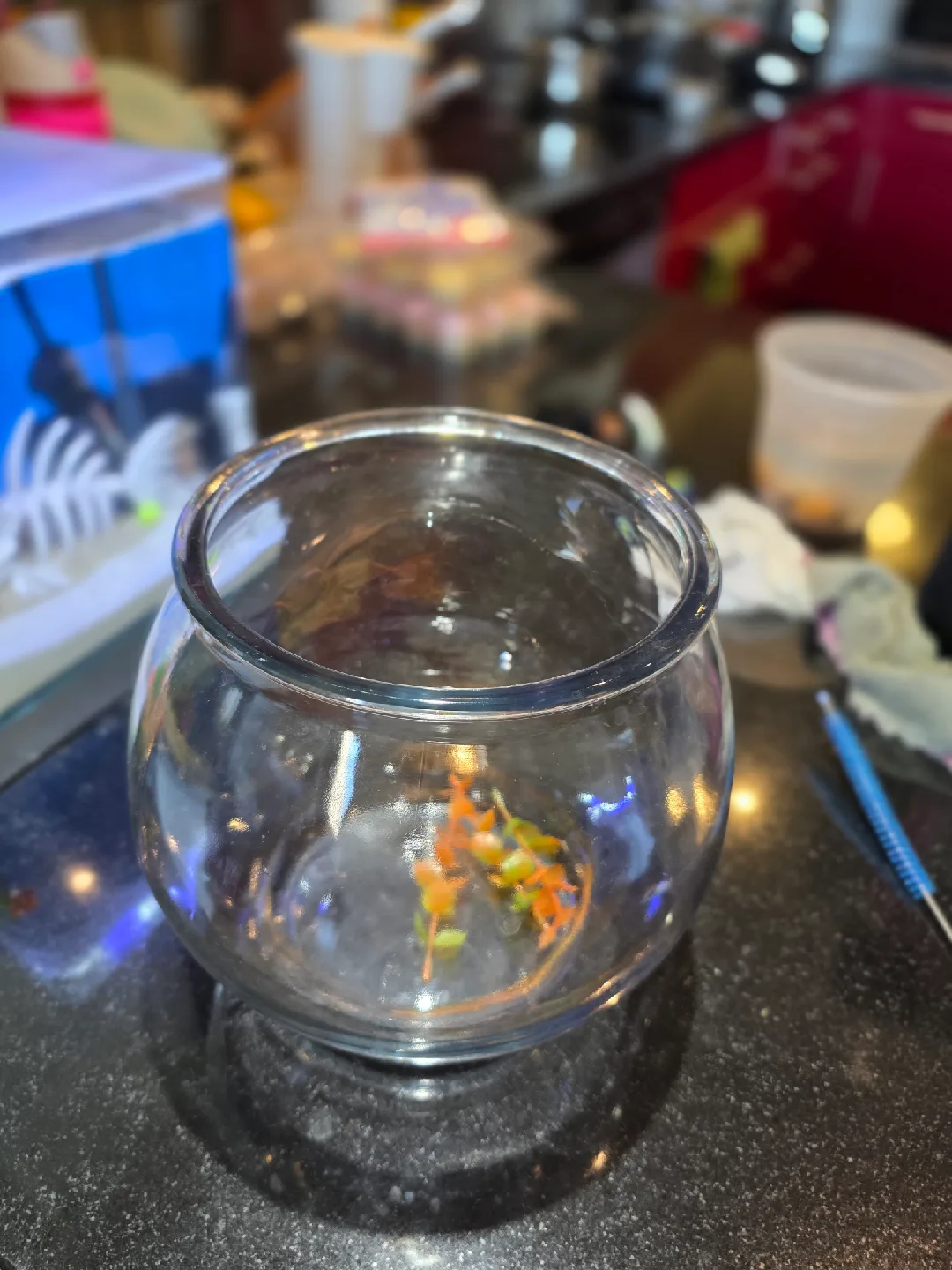 Small Glass Fish Bowl image indicator(2)